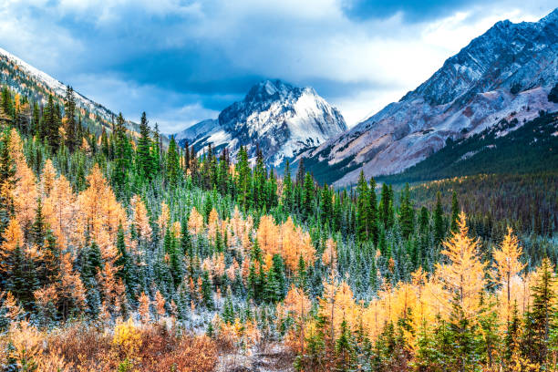 istock Pocaterra Cirque Larches 1478498915