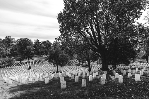 Arlington National Cemetery is one of the famous tourist destinations in the USA. About 400,000 people are buried in its 639 acres land.