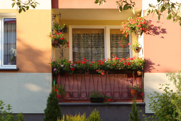 istock Balcony decorated with beautiful blooming potted plants on sunny day 1478508212