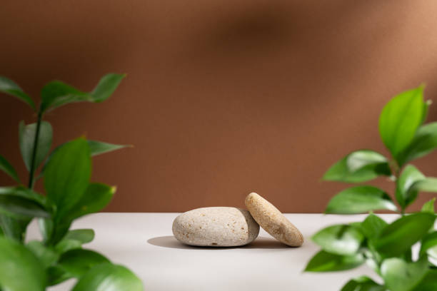 istock Empty stone podium and green branches with soft shadows on brown background. Eco backdrop with round natural rocks and fresh leaves. Meditation and relax. Spa beauty product advertising. Zen concept 1478511475