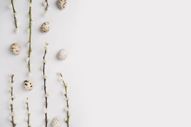 istock Eco Easter flat lay. Natural pussy willow branches and quail eggs on light grey background. Festive composition layout. Spring holiday postcard. Willow catkins and eggs template. Top view, copy space 1478511483