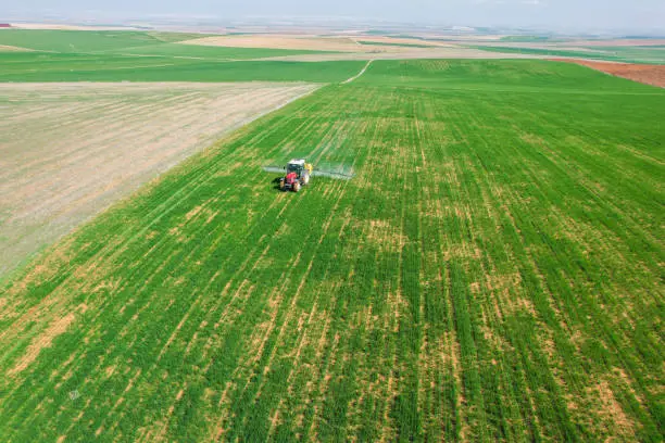 Photo of drone view of spraying wheat field with red tractor