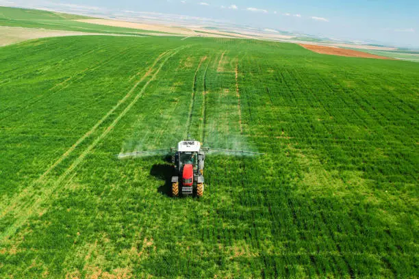 Photo of drone view of spraying wheat field with red tractor