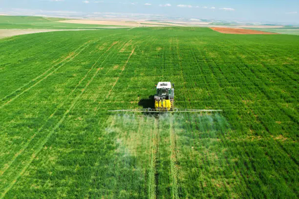 Photo of drone view of spraying wheat field with red tractor