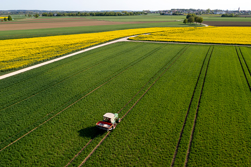 Aerial view of a green agricultural tractor fertilizing wheat field in spring landscape.