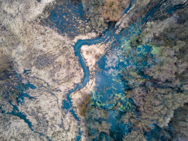 istock Public park called Lewityn in Pabianice City - view from drone 1478543576