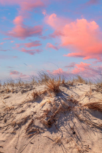 istock Sunset sky over dunes at Lighthouse Beach on a sunny day in winter 1478544115