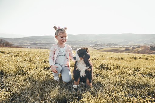 Beautiful little girl and her puppy bernese mountain dog