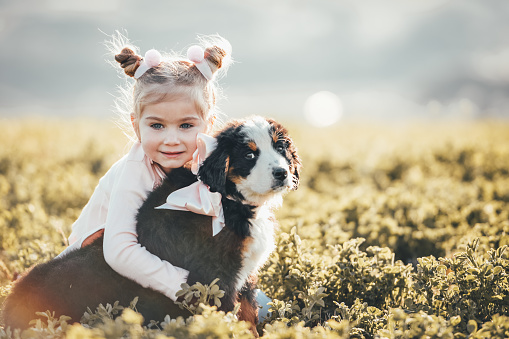 Beautiful little girl and her puppy bernese mountain dog