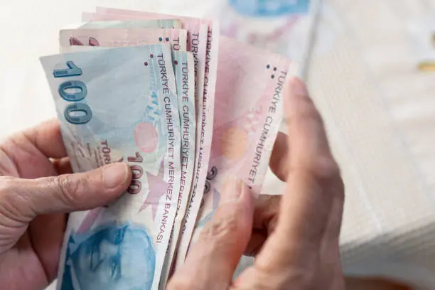old women hands holding Turkish Lira banknotes