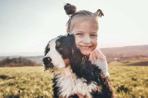 Beautiful little girl playing with her bernese mountain puppy on the meadow