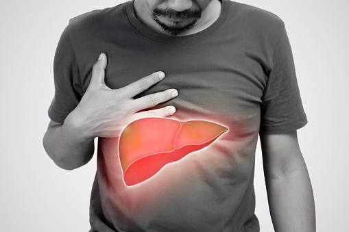 The illustration of liver is on the man's body against gray background. A men with hepatitis and fatty liver problem.