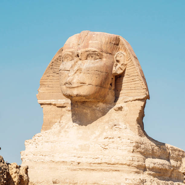 zbliżenie wielkiego sfinksa z gizy w egipcie. wapienna statua leżącego sfinksa, mitycznego stworzenia z ciałem lwa i głową człowieka na tle błękitnego nieba - pyramid cairo egypt tourism zdjęcia i obrazy z banku zdjęć