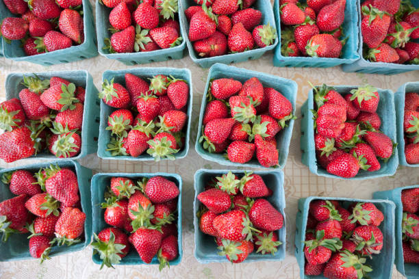 strawberries at a farmer's market - farmers market fruit market berry fruit imagens e fotografias de stock