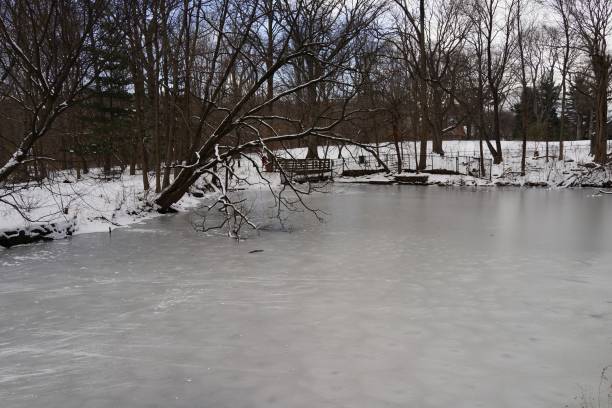 istock Van Cortlandt Park January 8, 2017 1478564168