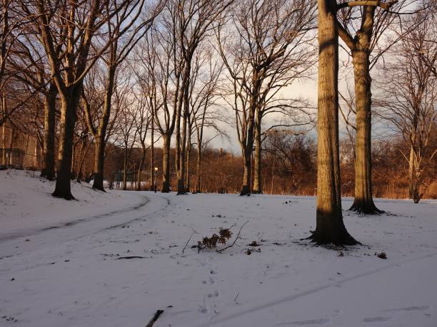 istock Van Cortlandt Park January 8, 2017 1478564230