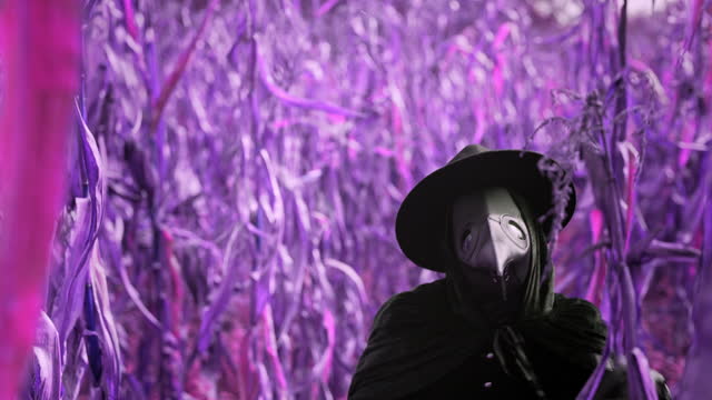 Plague doctor gothic woman dancing in acid violet thickets. Creepy raven mask, halloween, historical terrible protection costume, meme dance concept