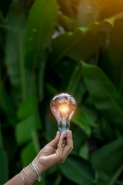 istock light bulb against nature, icons 1478599643