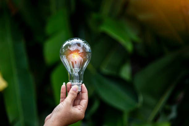 istock light bulb against nature, icons 1478599644