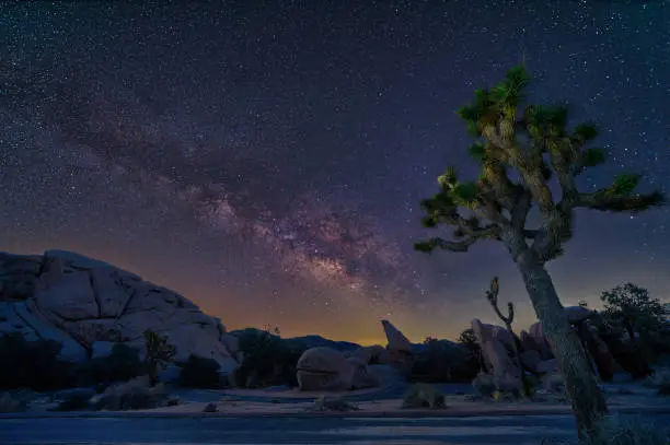 Photo of Joshua Tree Night Sky