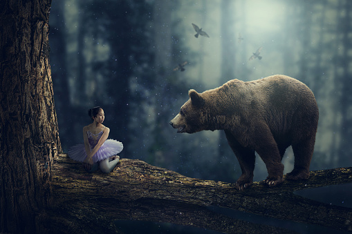 Fairy tale fantasy forest encounter between a girl and a friendly bear atop a tree branch in the woods. Cinematic effect in surreal dreamy environment.
