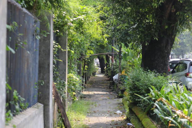 istock a narrow path for pedestrians 1478608883