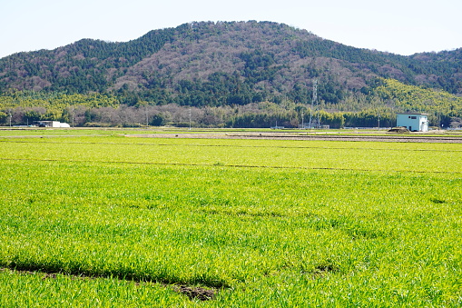 Beautiful rural landscape in Japan.