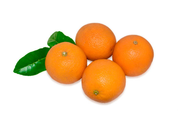 istock Ripe Orange fruits isolated on white background 1478613125