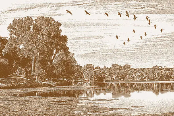 Vector illustration of Lake with geese flying in V-Formation