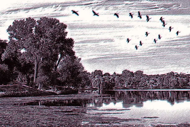 Vector illustration of Lake with geese flying in V-Formation with Glitch Technique