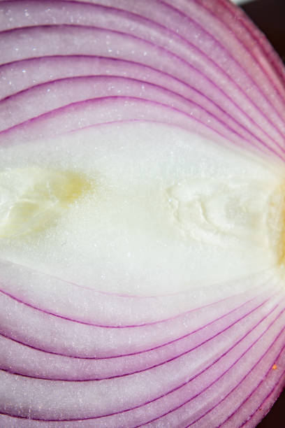 vertical photo up close texture of the inside of a red onion