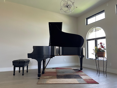 grand piano at home