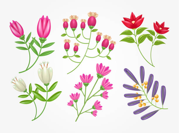 zestaw ilustracji kwiatów 3d. elementy kwiatowe nadają się na zaproszenia ślubne, urodziny, pocztówki i gratulacje - wildflower set poppy daisy stock illustrations