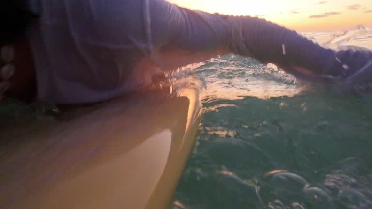 Young surfer swimming on the surfboard in ocean at the sunset