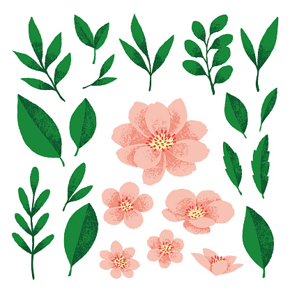 Vector illustration of pink flower decoration set.