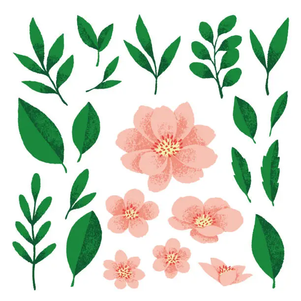 Vector illustration of Set of Pink Flower Decorations