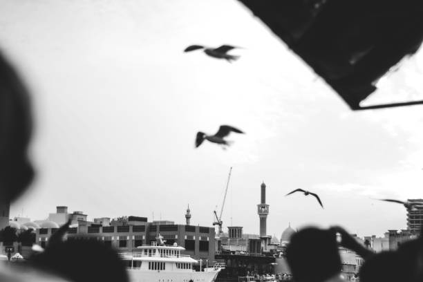 old town and birds in black and white