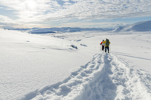 Team snow shoe hiking on a beautiful sunny day at the mountain of Dovre or Dovrefjell in Norway.