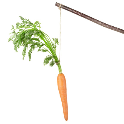 Carrot on a stick isolated on white XXXL