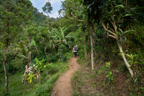 istock Tourists in a Tanzanian Jungle 1478645833