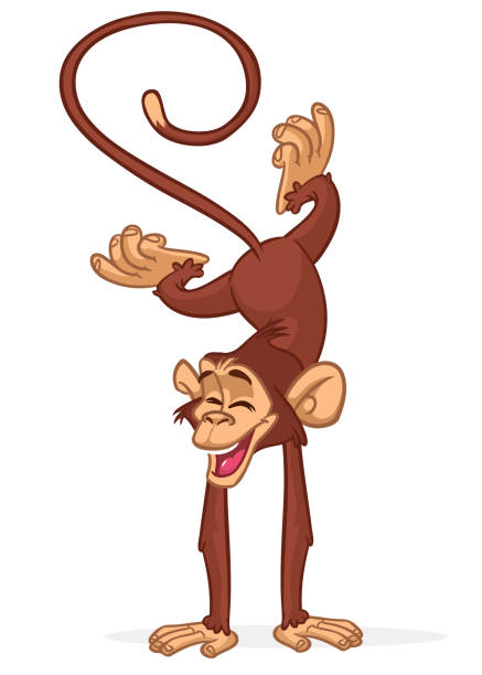 Cartoon funny monkey chimpanzee doing handstand and balancing. Vector illustration of happy monkey performing acrobatic circus trick character design isolated Cartoon funny monkey chimpanzee. Vector illustration of happy monkey character design isolated. clip art of a monkey holding banana stock illustrations