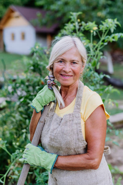 istock Senior woman farmer having break during digging her vegetables garden. 1478654425