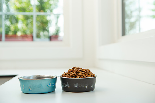 Small Black and blue dog food and water bowls on white bench corner by window