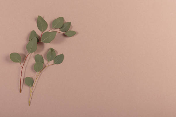 istock Blank greeting or invitation card mockup with eucalyptus branches 1478657575