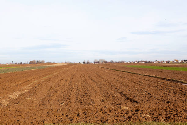 istock agricultural land in the spring 1478658847