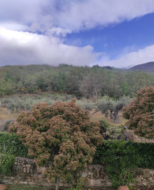 Sierra de Gredos in Valverde de la Vera