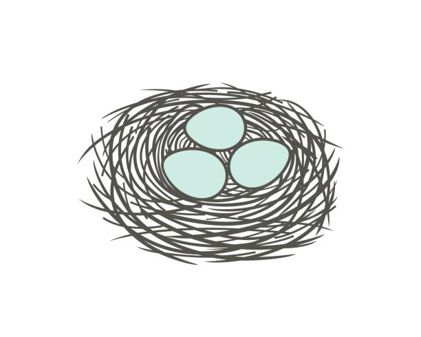 ilustrações de stock, clip art, desenhos animados e ícones de nest logo. isolated nest on white background. egg - chicken egg audio