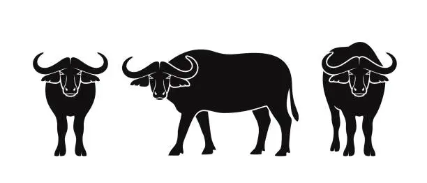 Vector illustration of Buffalo logo. Isolated Buffalo on white background