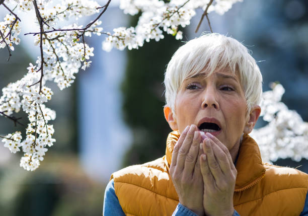 Woman sneezing in front of blooming tree in spring Afraid mature woman sneezing in napkin in front of blooming tree. Spring allergy attack concept nose flower stock pictures, royalty-free photos & images