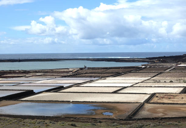 istock Salt seasoning in Lanzarote 1478680887